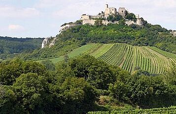 Falkenstein_c falkenflug.at