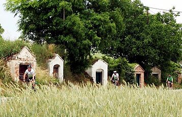 Radeln durch Kellergassen, Weinviertel Tourismus, Falch