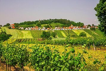 Galgenberg Wildendürnbach