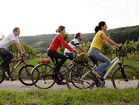 Radeln im Weinviertel, Weinviertel Tourismus, Wurnig