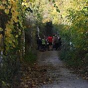 Kellergasse Grasingerweg