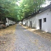 Radyweg