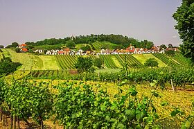 Galgenberg Wildendürnbach; Semrad