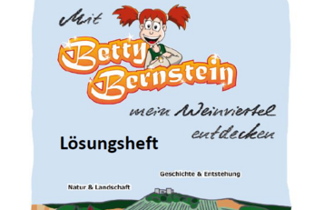 Lösungsheft