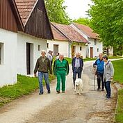 Kellergasse Zwentendorf