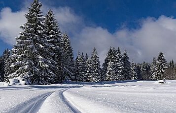 Langlaufloipe_c pixabay free