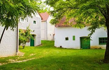 Keller in Großkrut