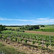 Weinbergweg