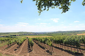 Herrnbaumgarten