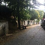 Radyweg