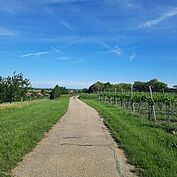 Weinbergweg
