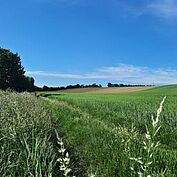 Weinbergweg