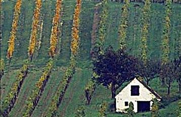 Das Weinviertel - Mehr als Idylle
