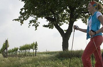 Weinberg walking_Weinviertel Tourimsus, Himml