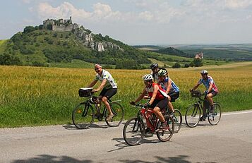 Radeln um Laa, Weinviertel Tourismus, Falch