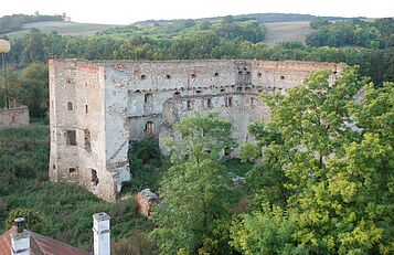 Schlossruine Wenzersdorf; Markus Göstl
