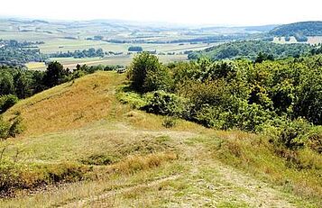 Leiser Berge, Naturland NOE, Herbst