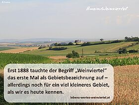 Weinviertel_pixabay