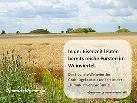 Grabhügel_LEADER Region Weinviertel Ost
